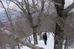 20150314221740