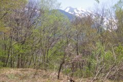 20150510182609