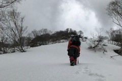 20190503165624