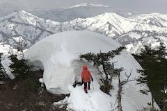 20190503170008