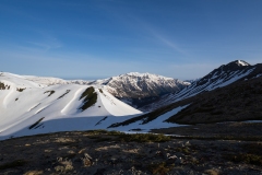 P5050375-LR