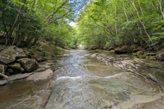 PXL_20230716_050224006