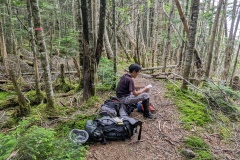 PXL_20230717_010018739