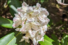 PXL_20230717_014152491