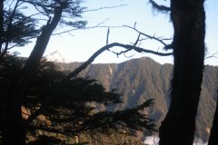 IMGP0033