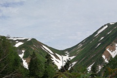 IMG_20250628_085502