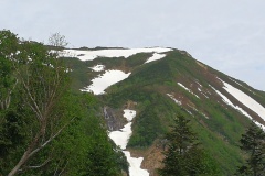IMG_20250628_085513