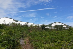 IMG_20250628_095117