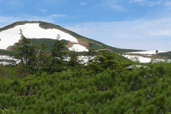 IMG_20250628_095128