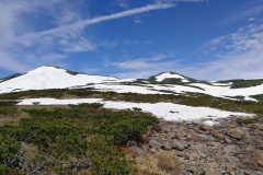 IMG_20250628_095729
