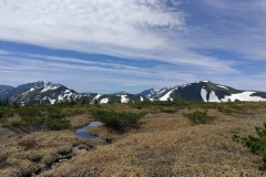 IMG_20250628_095747