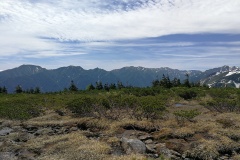 IMG_20250628_095810