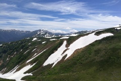 IMG_20250628_124726