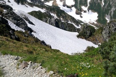IMG_20250628_141801