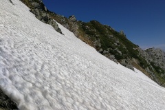 IMG_20250628_143657