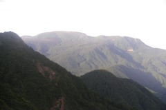 IMGP0035