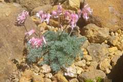 IMGP0051