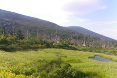 IMGP0078